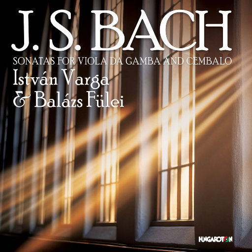 护士大乳出奶水
